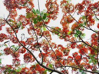 《神领编年史》体验版8月10日上线 可游玩第一章内容